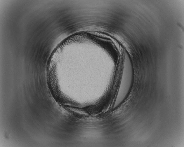 X0000090950998200708301135
