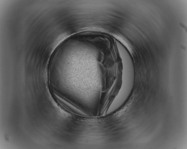 X0000090950999200708301135