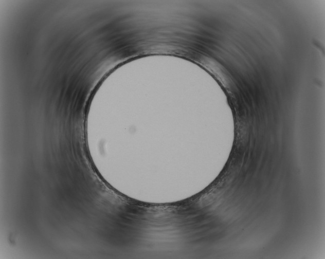 X0000090951000200708301135