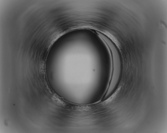 X0000090951001200708301135