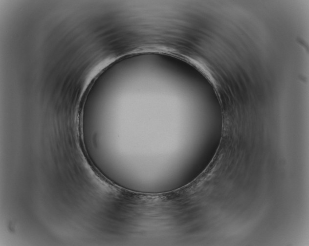 X0000090951003200708301135