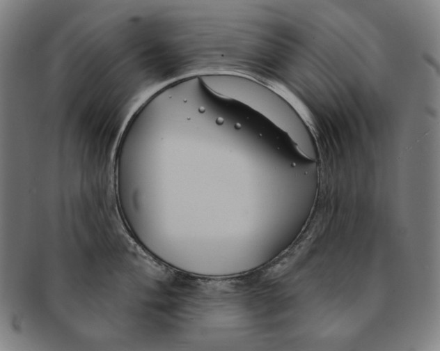 X0000090951004200708301135