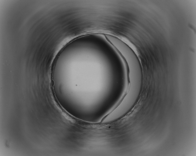 X0000090951005200708301135