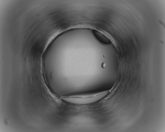 X0000090951006200708301135