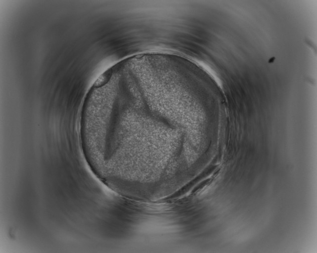 X0000090951007200708301135
