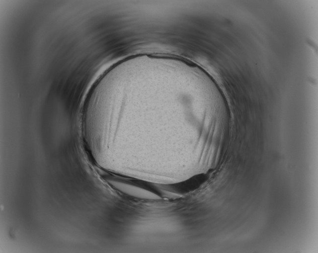 X0000090951008200708301135