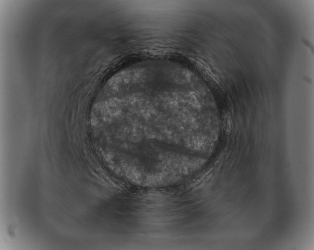 X0000090951009200708301134