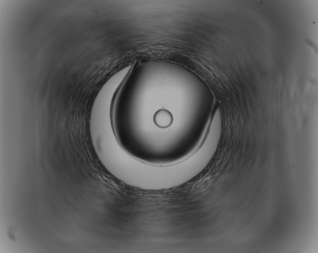 X0000090951010200708301134