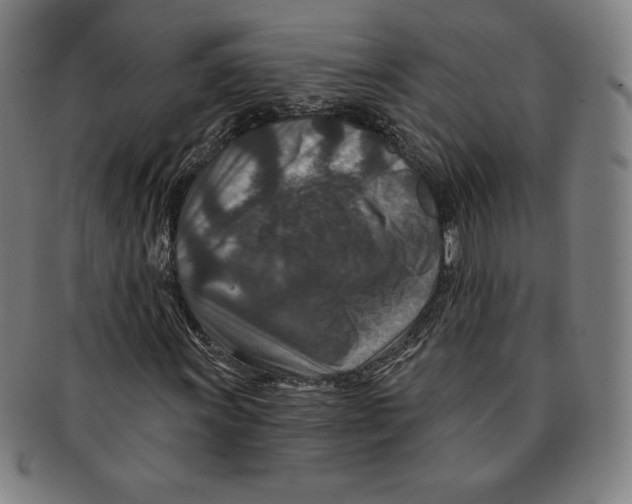 X0000090951011200708301134