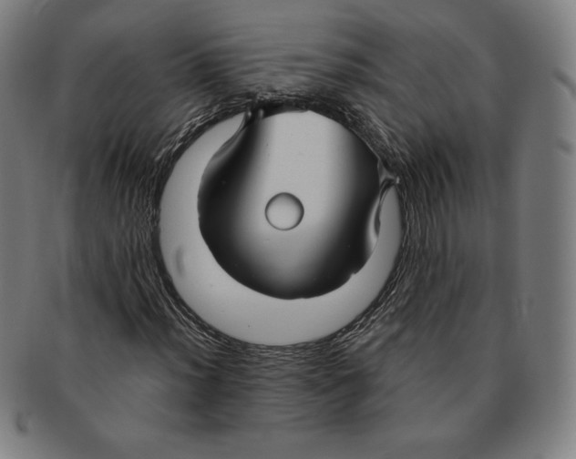 X0000090951012200708301134