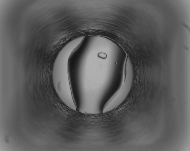 X0000090951014200708301135