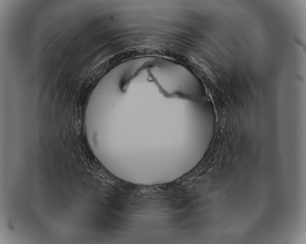 X0000090951015200708301135