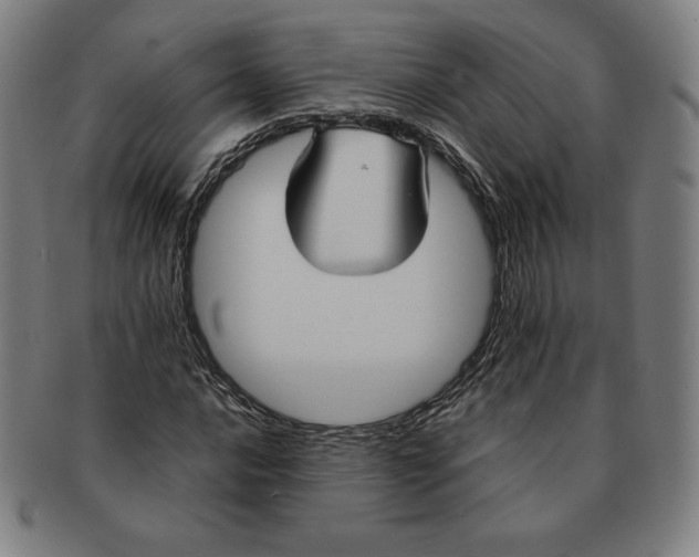 X0000090951016200708301135