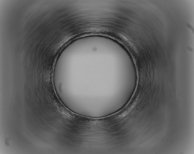 X0000090951017200708301135