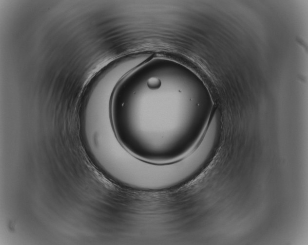 X0000090951018200708301135