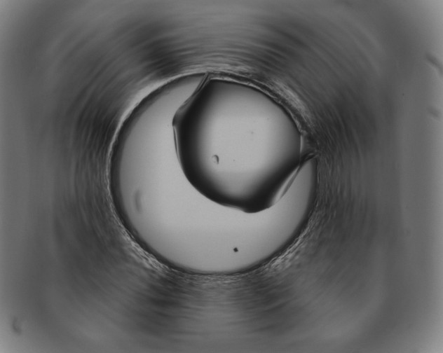 X0000090951020200708301135