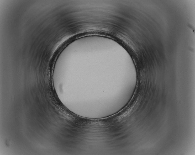 X0000090951021200708301135
