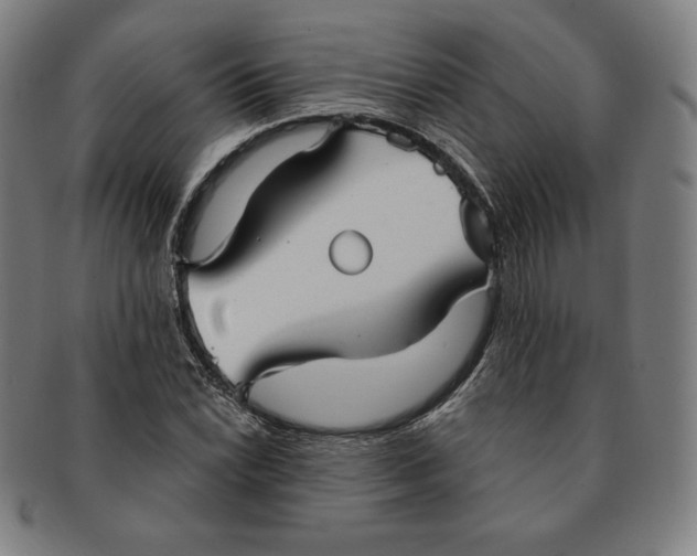 X0000090951022200708301135
