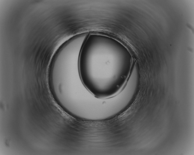 X0000090951024200708301135