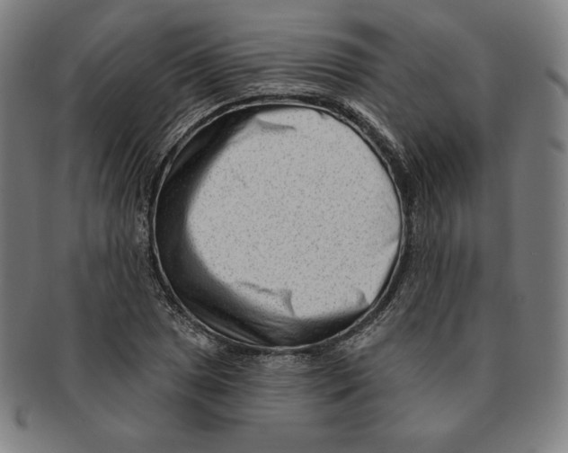 X0000090951025200708301135