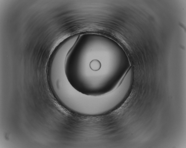 X0000090951026200708301135