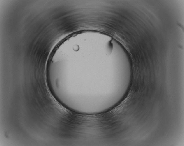 X0000090951028200708301135