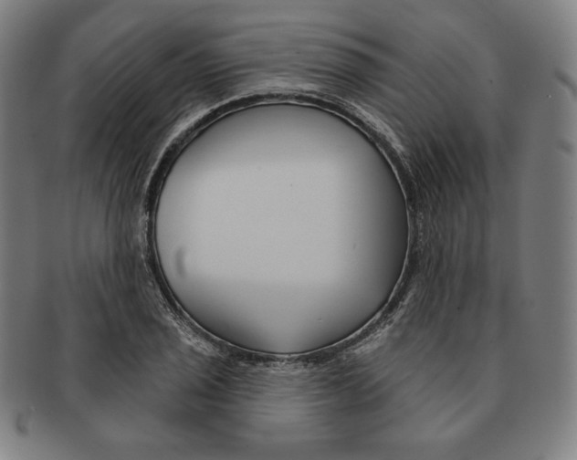X0000090951029200708301135