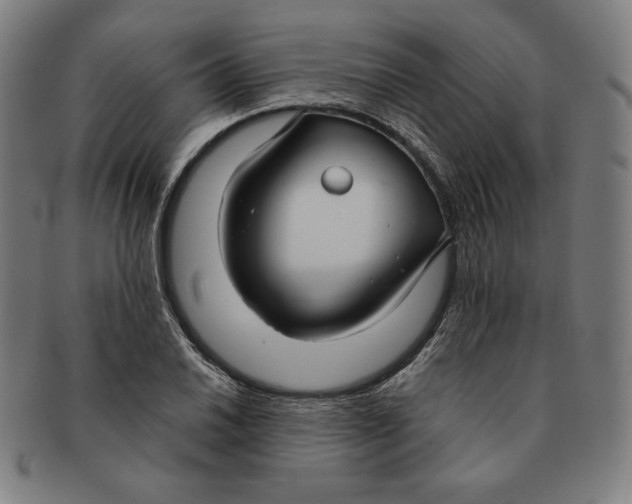 X0000090951030200708301135