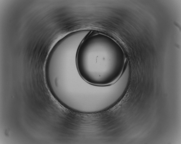 X0000090951032200708301135