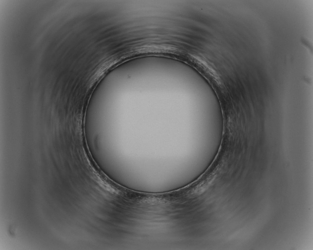 X0000090951033200708301135