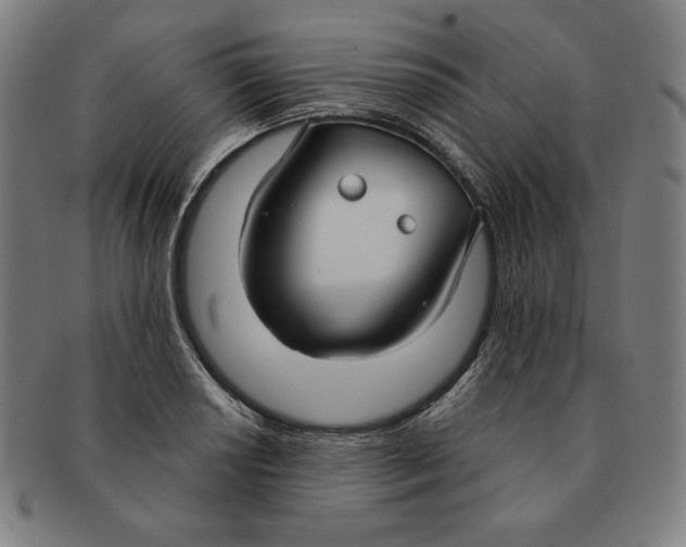 X0000090951034200708301135