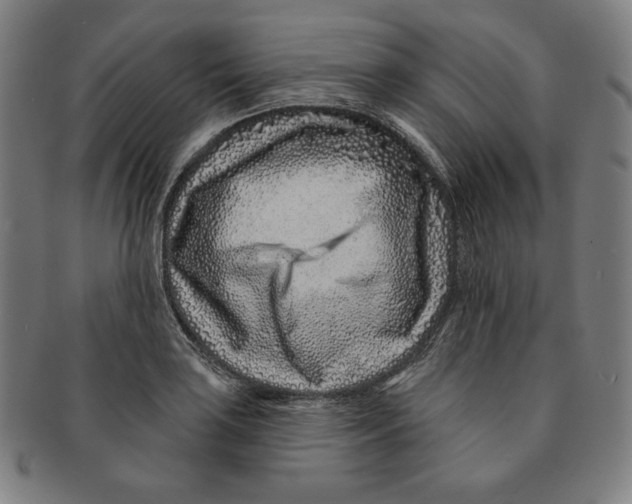 X0000090951035200708301135
