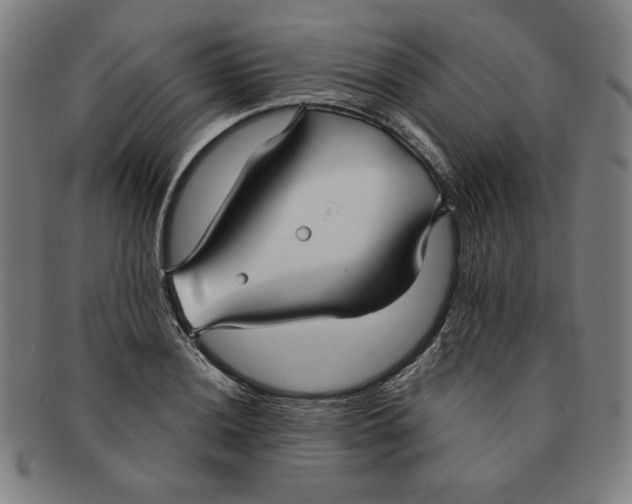 X0000090951036200708301135