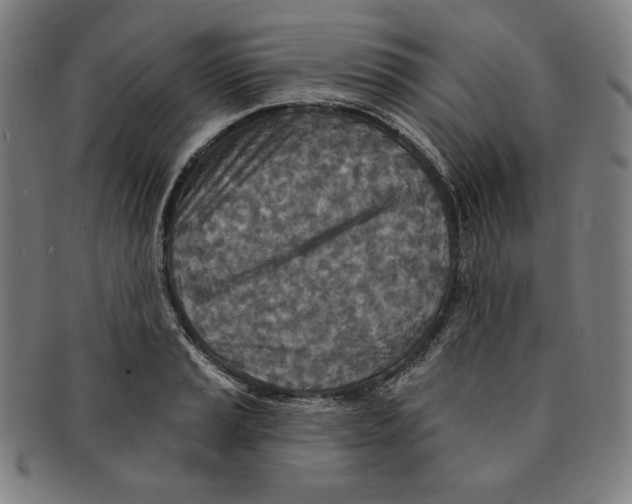 X0000090951037200708301135