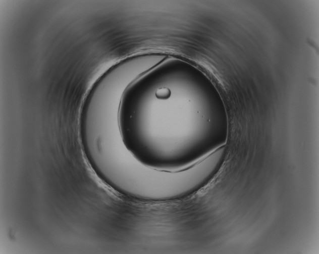 X0000090951038200708301135