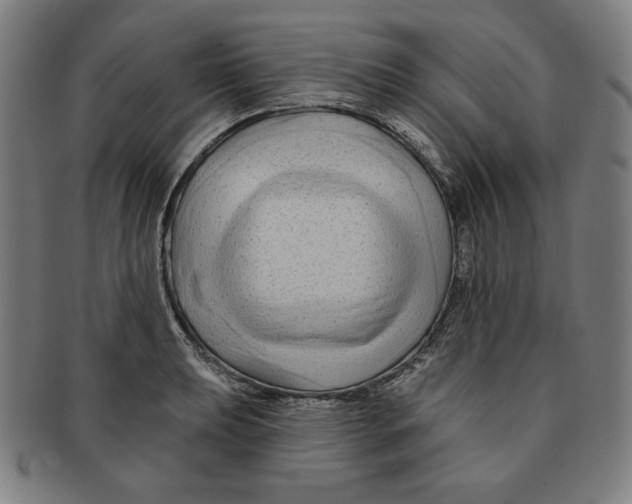 X0000090951039200708301135