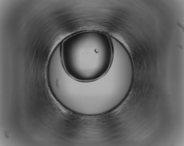 X0000090951040200708301135