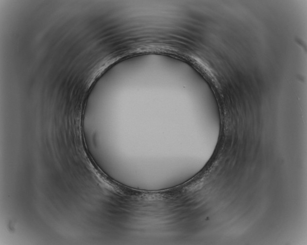 X0000090951041200708301135