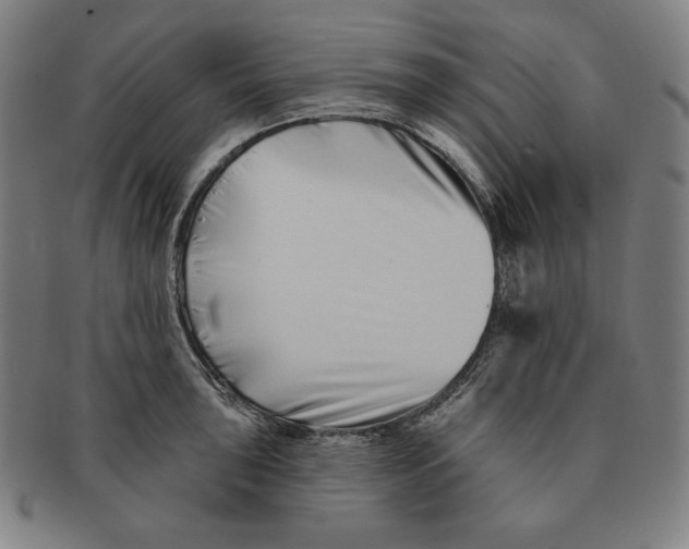 X0000090951043200708301135