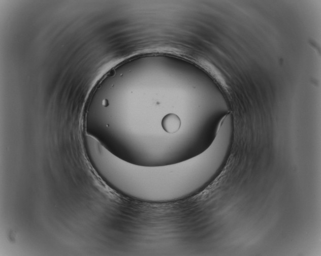 X0000090951044200708301135