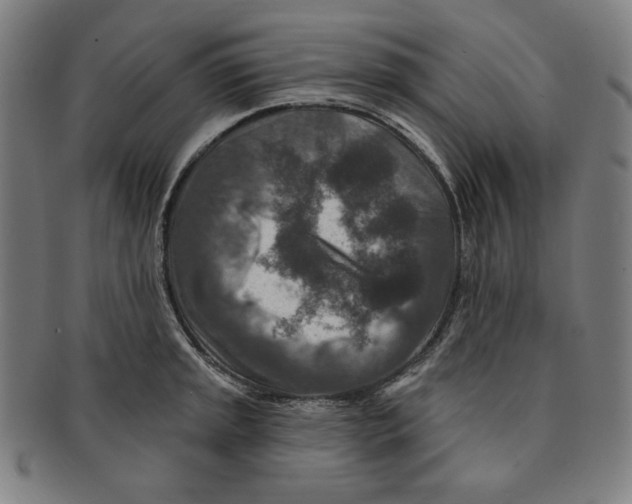 X0000090951045200708301135