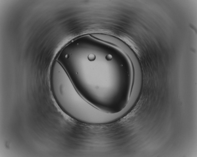X0000090951046200708301135