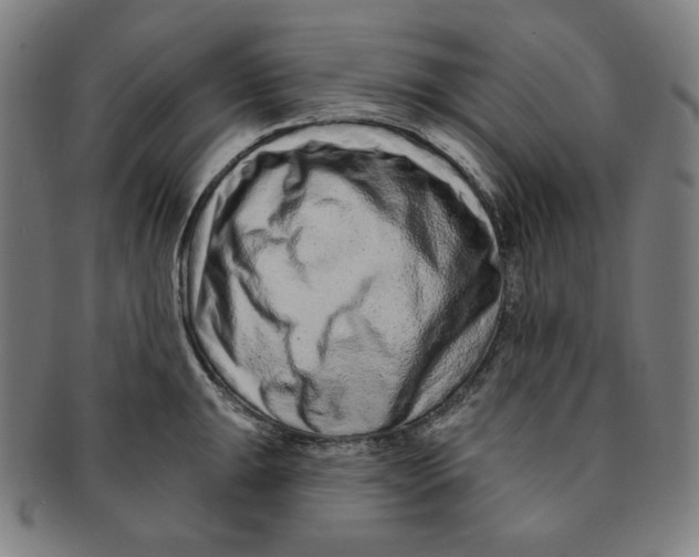 X0000090951047200708301135