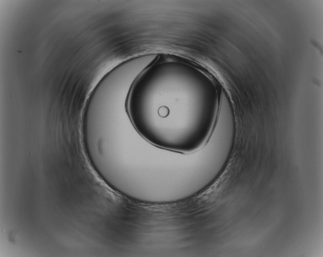 X0000090951048200708301135