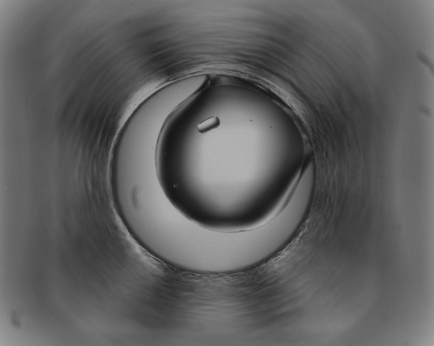 X0000090951050200708301135