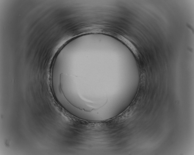 X0000090951051200708301135