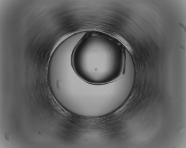 X0000090951052200708301135