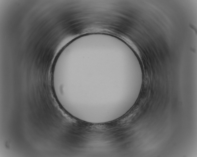 X0000090951053200708301135