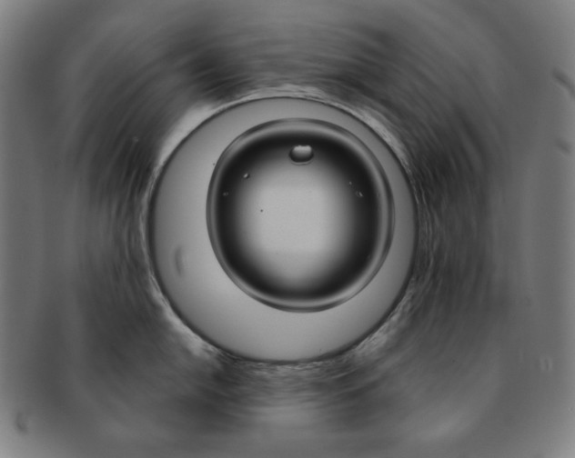 X0000090951054200708301135