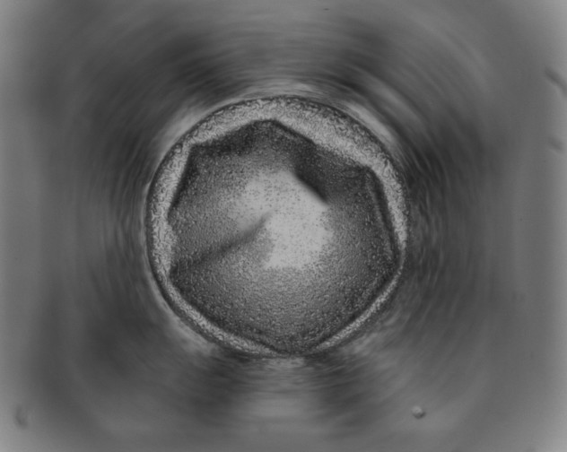 X0000090951055200708301135